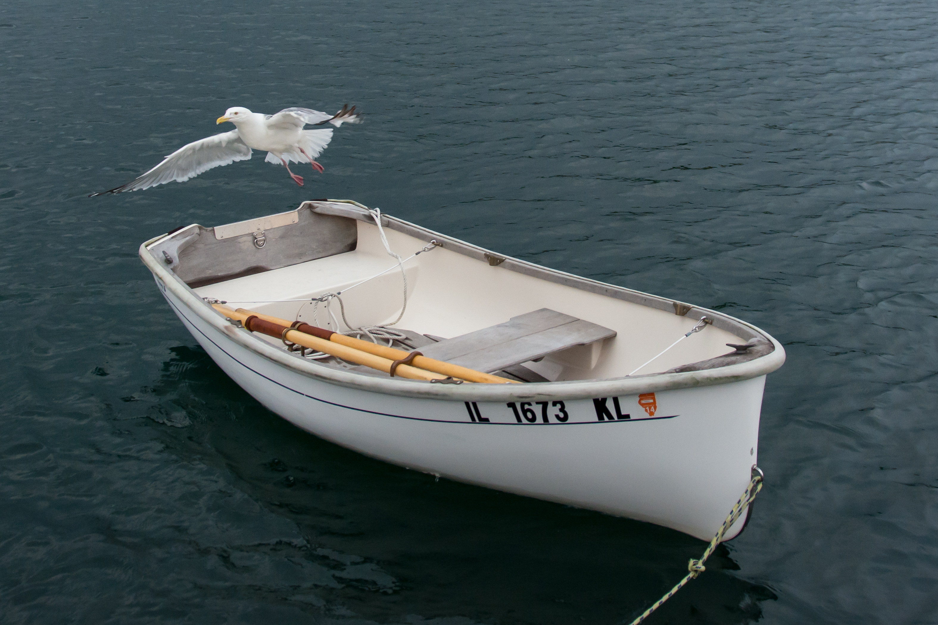 2014 07 NC Bear Cove Heywood Island sRGB-101