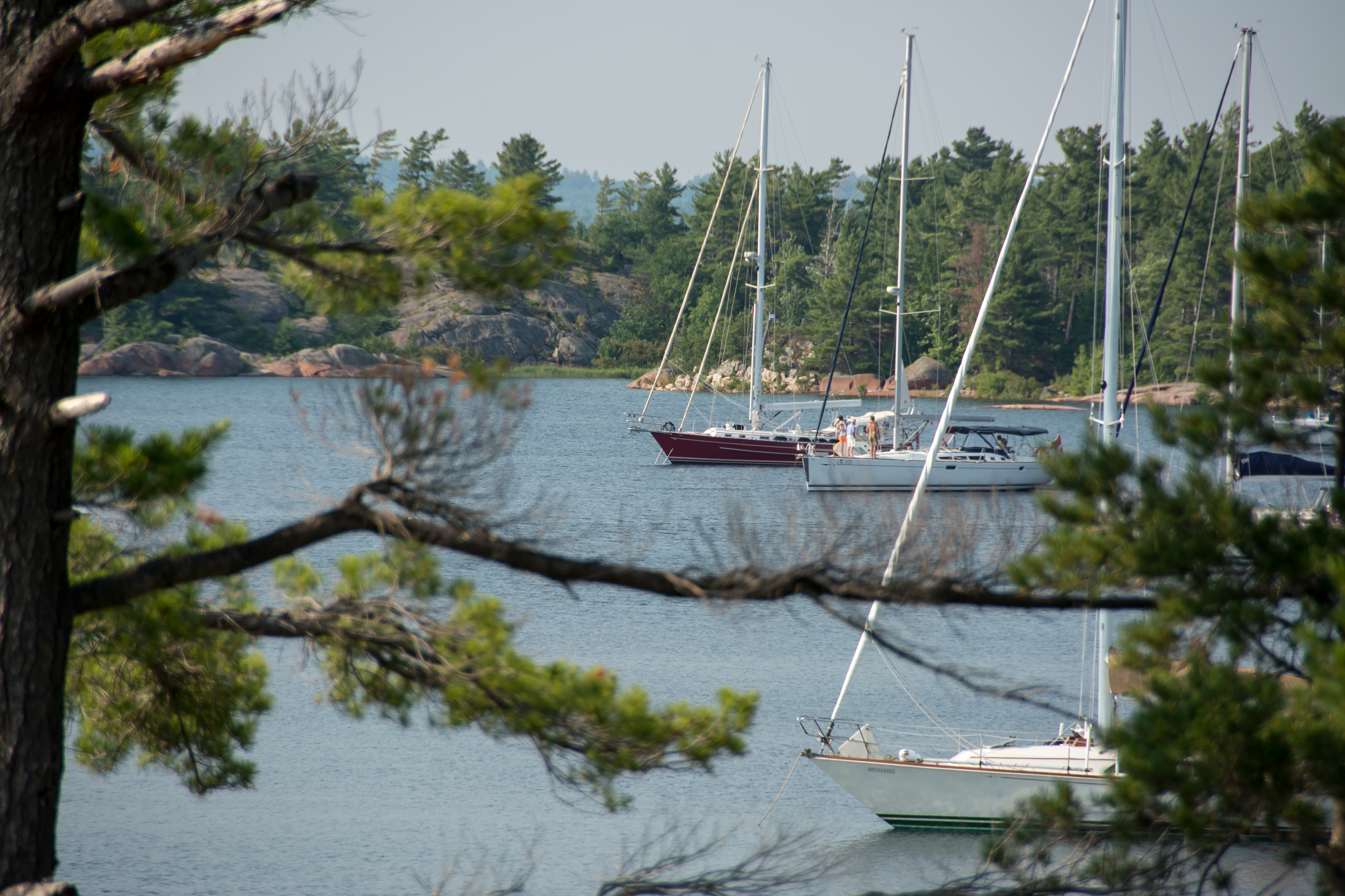 2014 07 NC Benjamins V50 sRGB-103