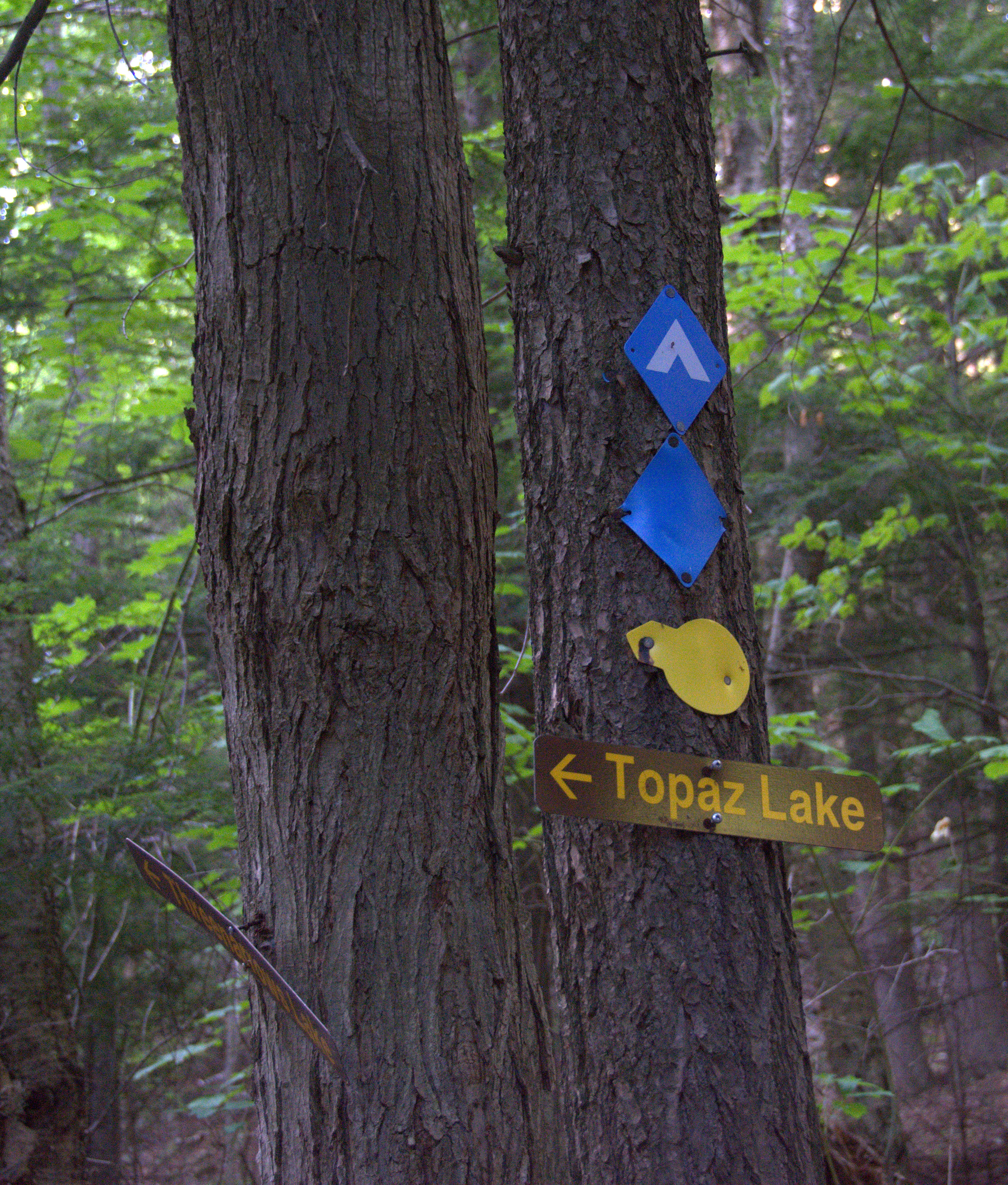 trail marker