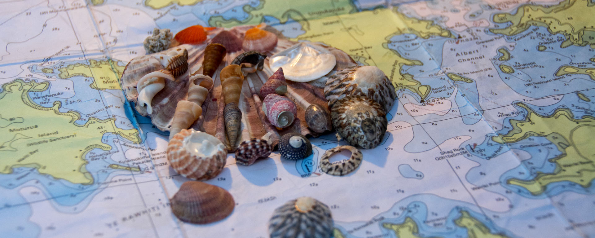 0 Title Waewaetorea Island Hike-107