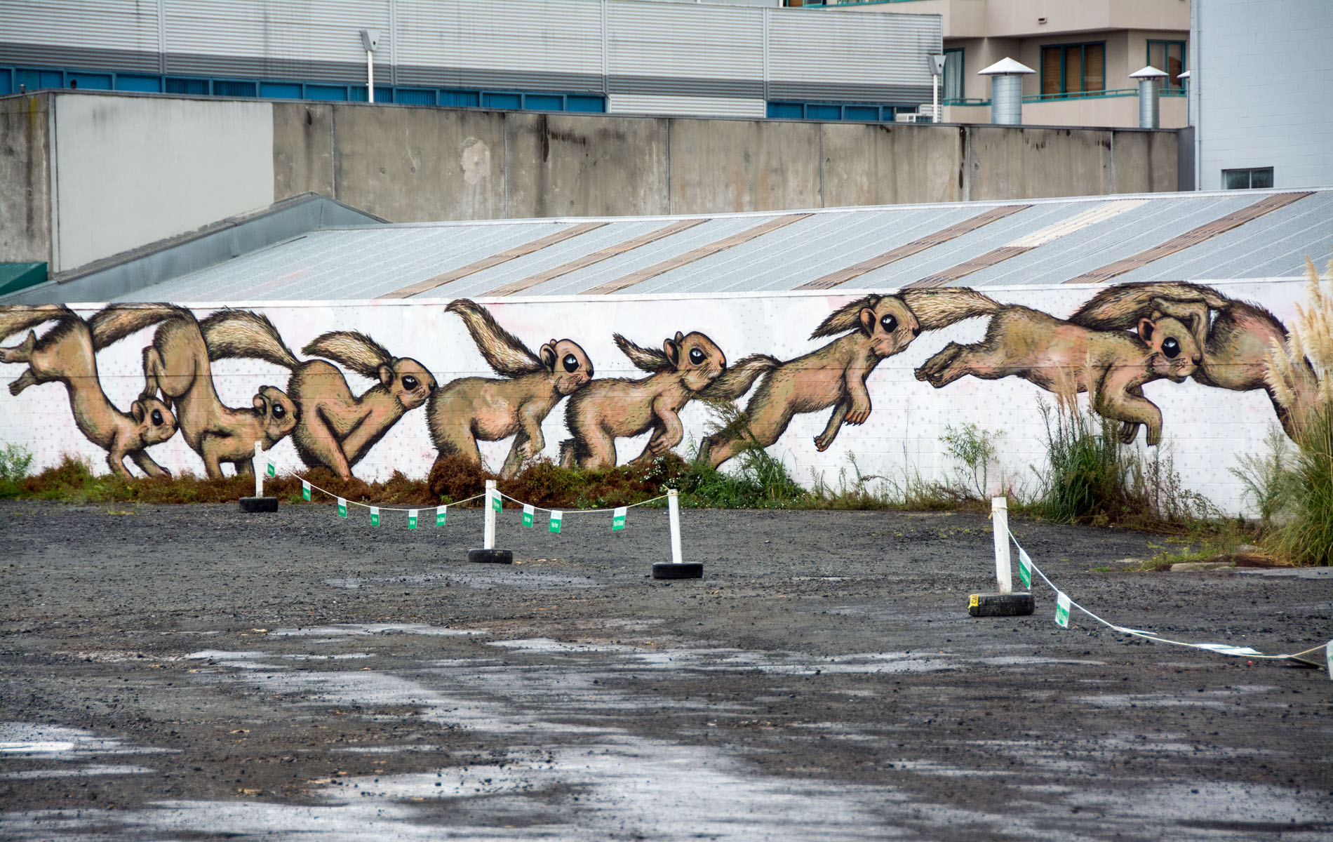 2016 03 28 Auckland Witt Area-106