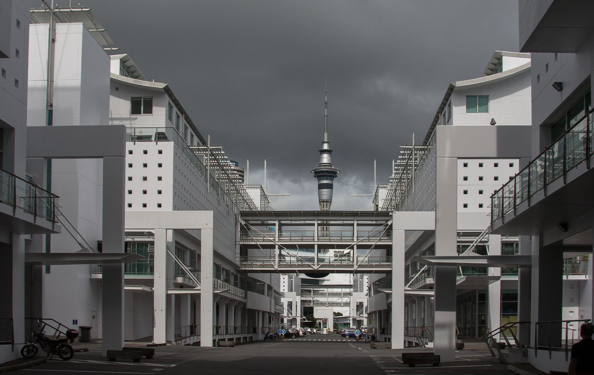 2016 03 28 Auckland Witt Area-112