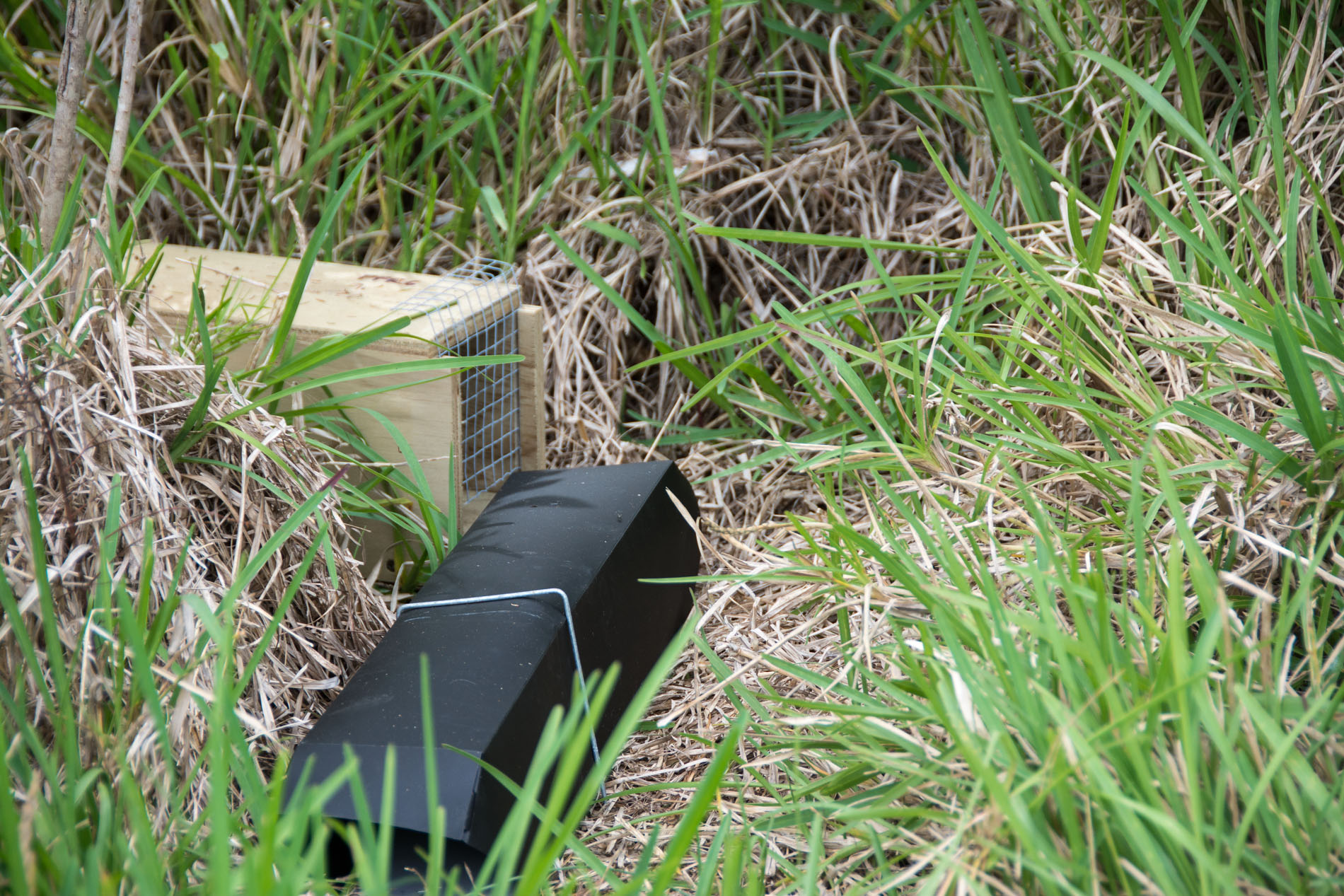 2016 04 01 Sail Day 3 Urupukapuka Hike to Otehei Bay-103