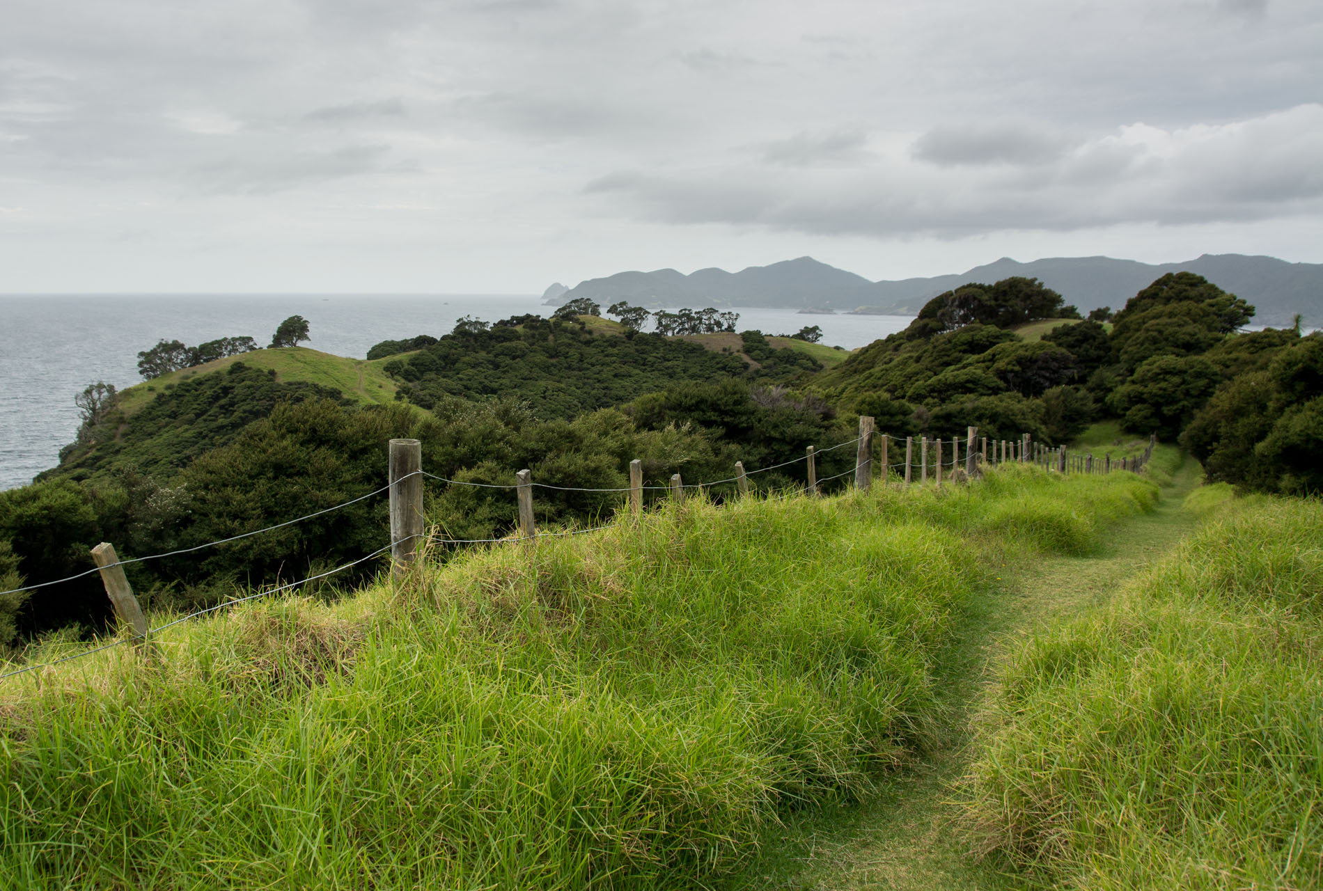2016 04 01 Sail Day 3 Urupukapuka Hike to Otehei Bay-112