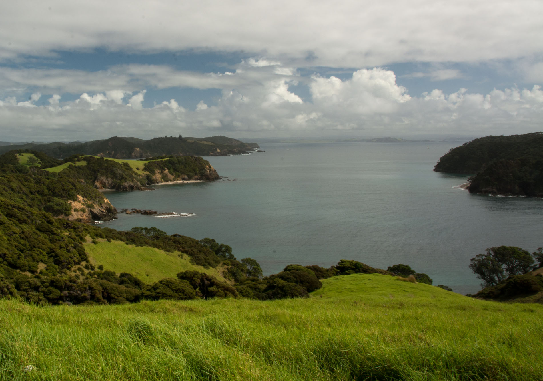 2016 04 02 Sail Day 4 Urupukapuka Hike to Te Hoanga Pt-107
