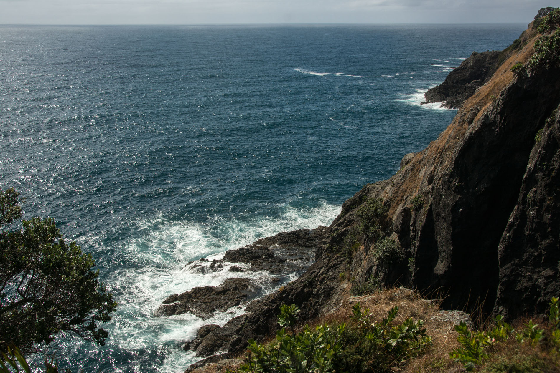 2016 04 02 Sail Day 4 Urupukapuka Hike to Te Hoanga Pt-121