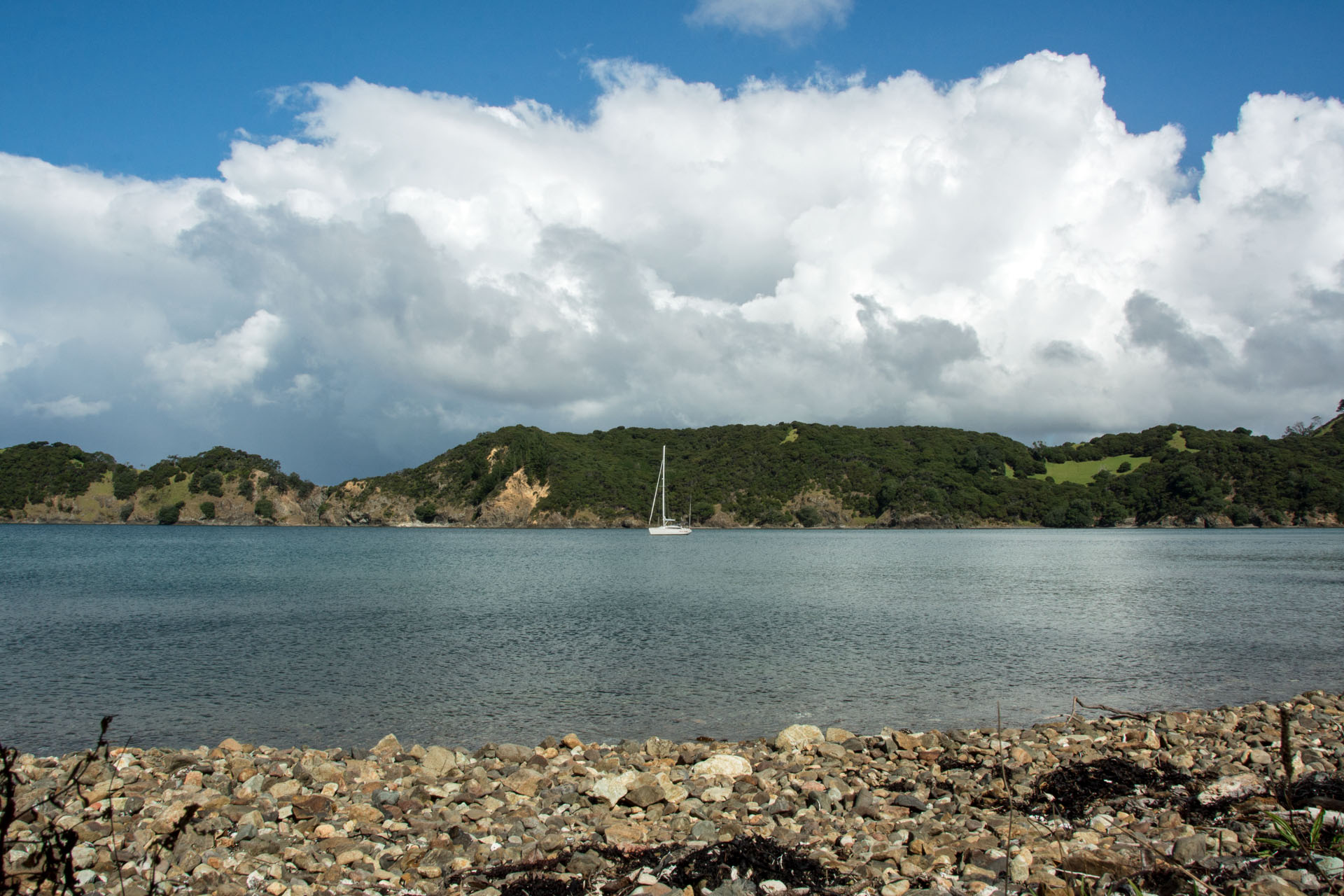2016 04 03 Sail Day 5 Whangamumu Harbour-101