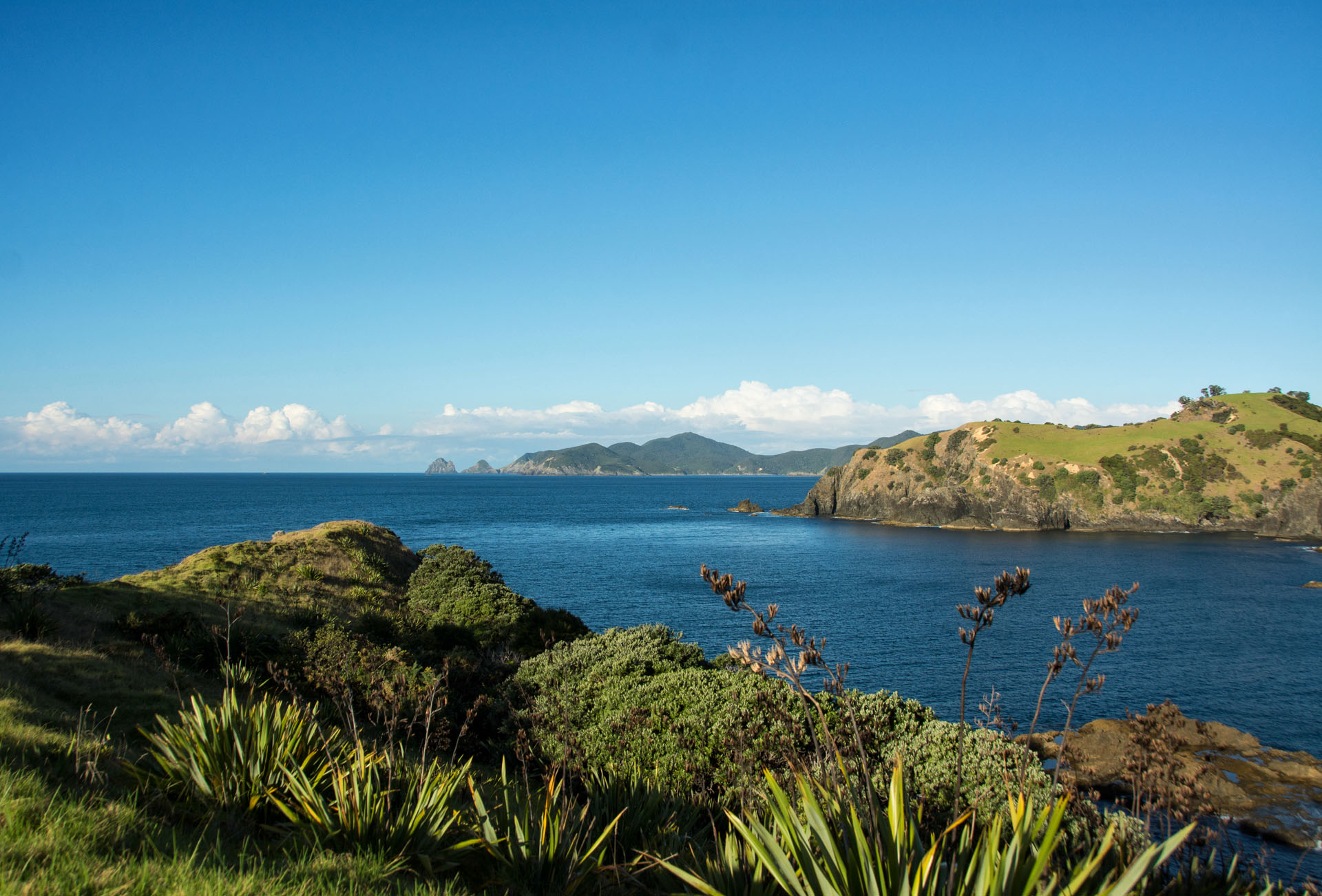 2016 04 05 Sail Day 7 Waewaetorea Island Hike-105