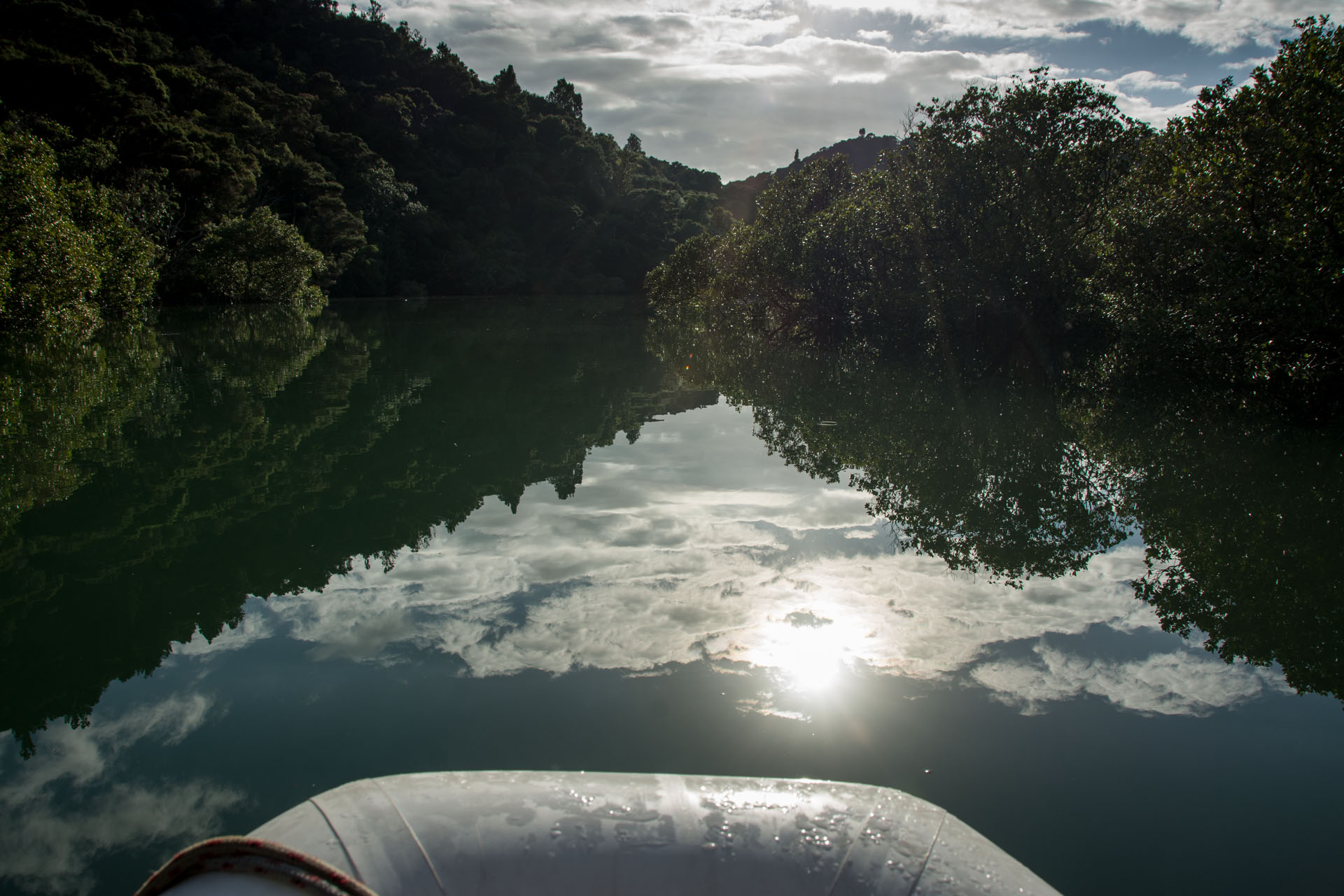2016 04 08 Sail Day 10 Dinghy Wairakau Stream-39