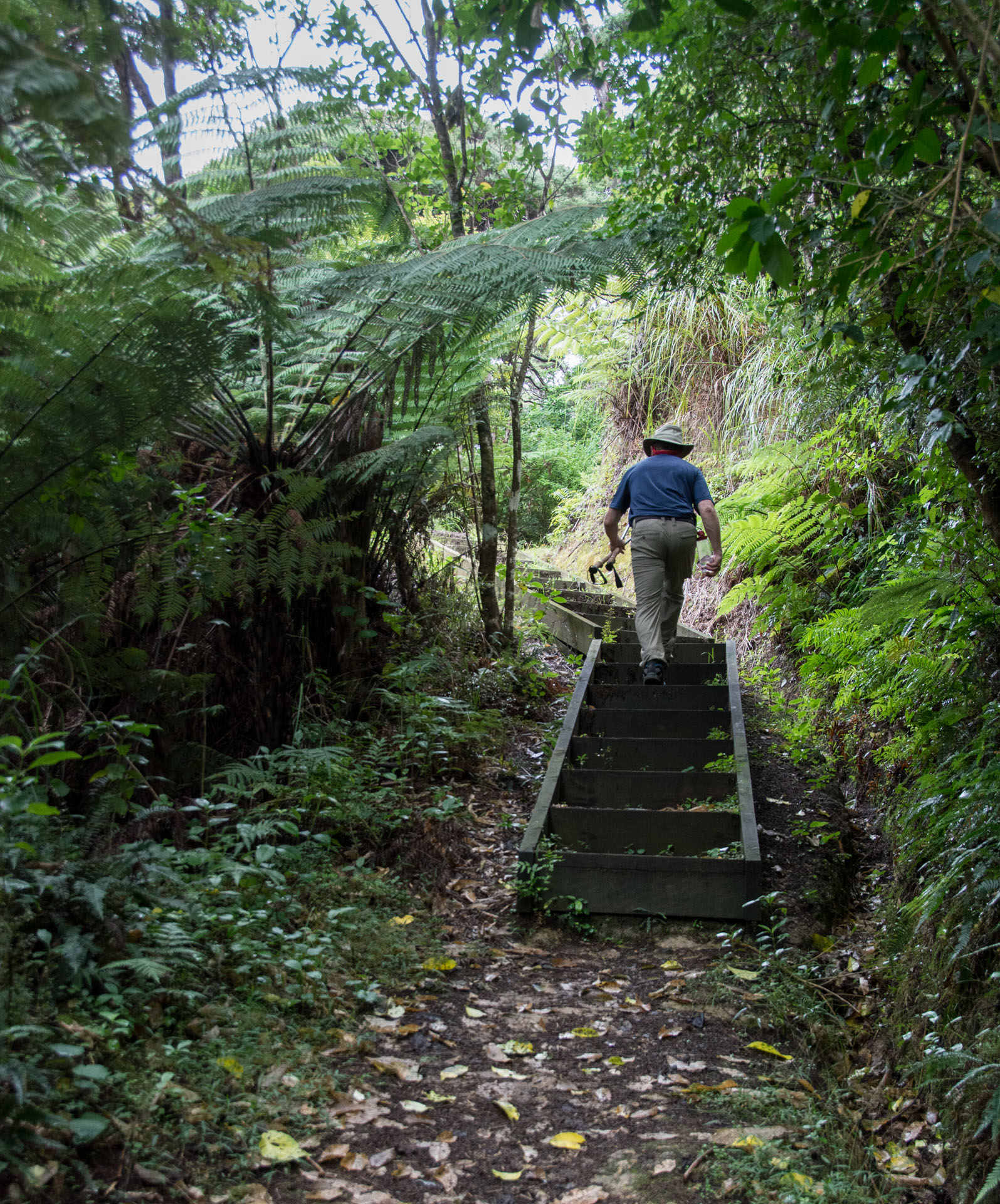 2016 04 11 Sail Day 13 Moturua Island Hike-118