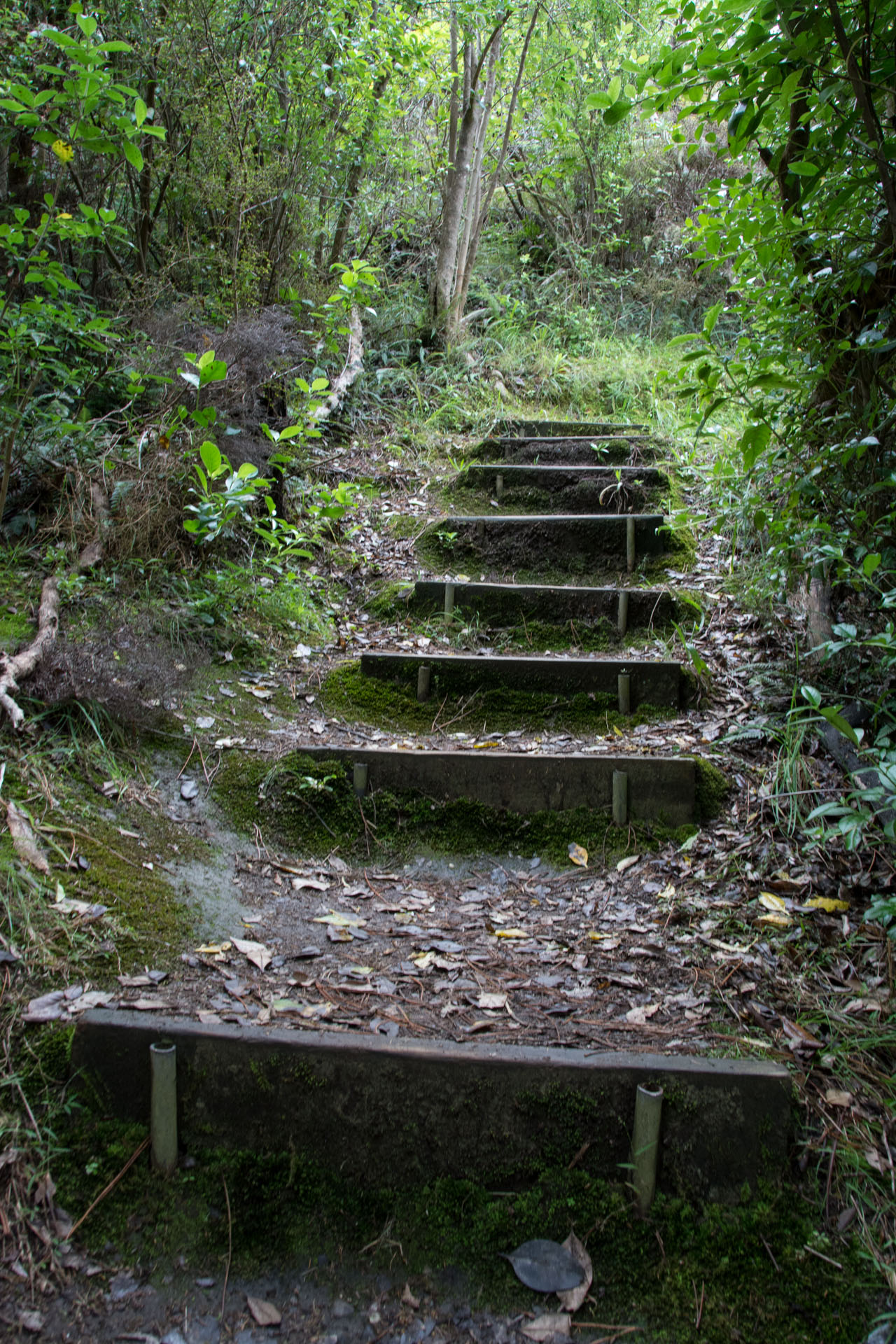 2016 04 12 Sail Day 14 Roberton Island Hike-134