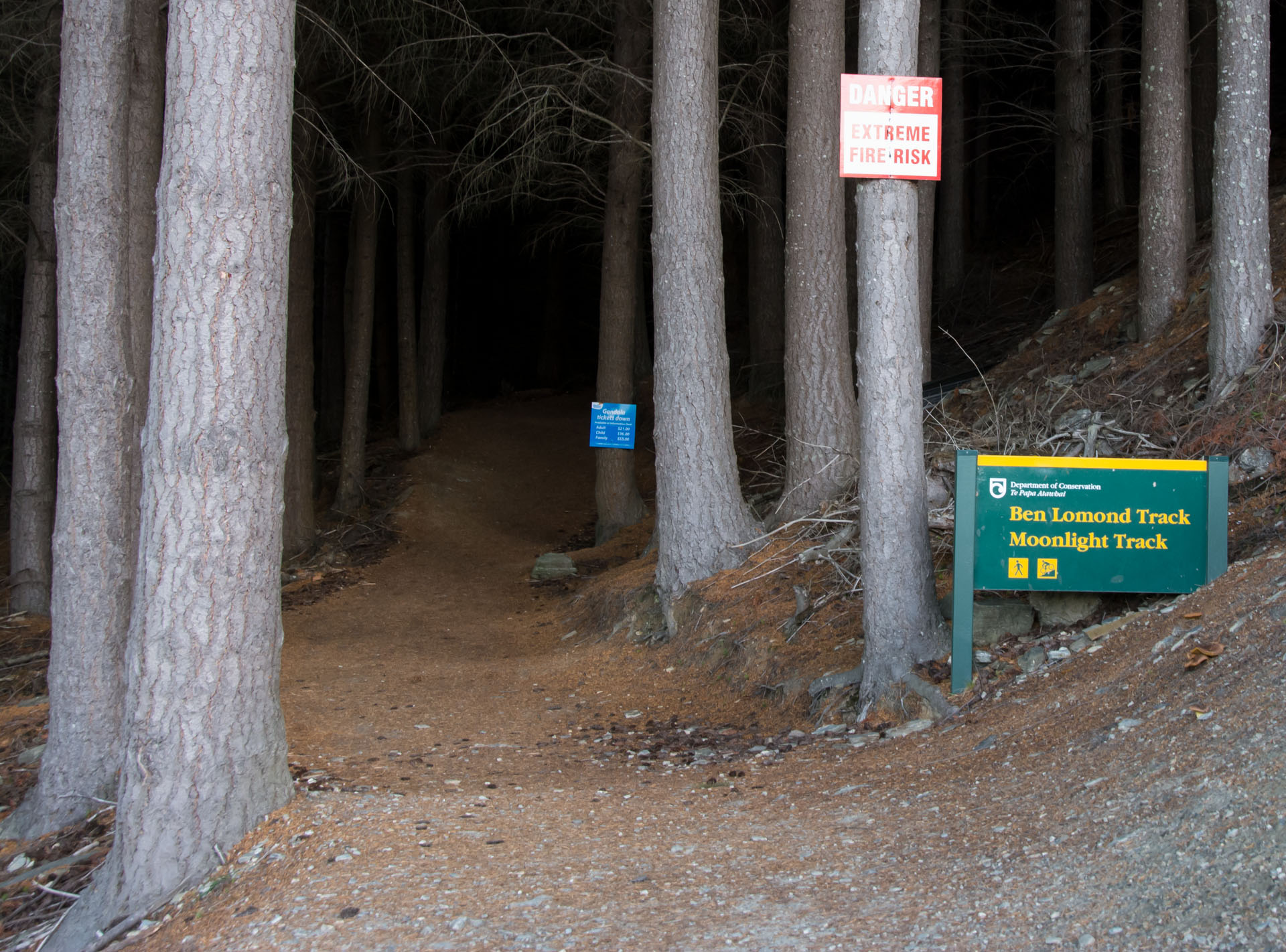 2016 04 14 Ben Lomond Saddle Hike-102