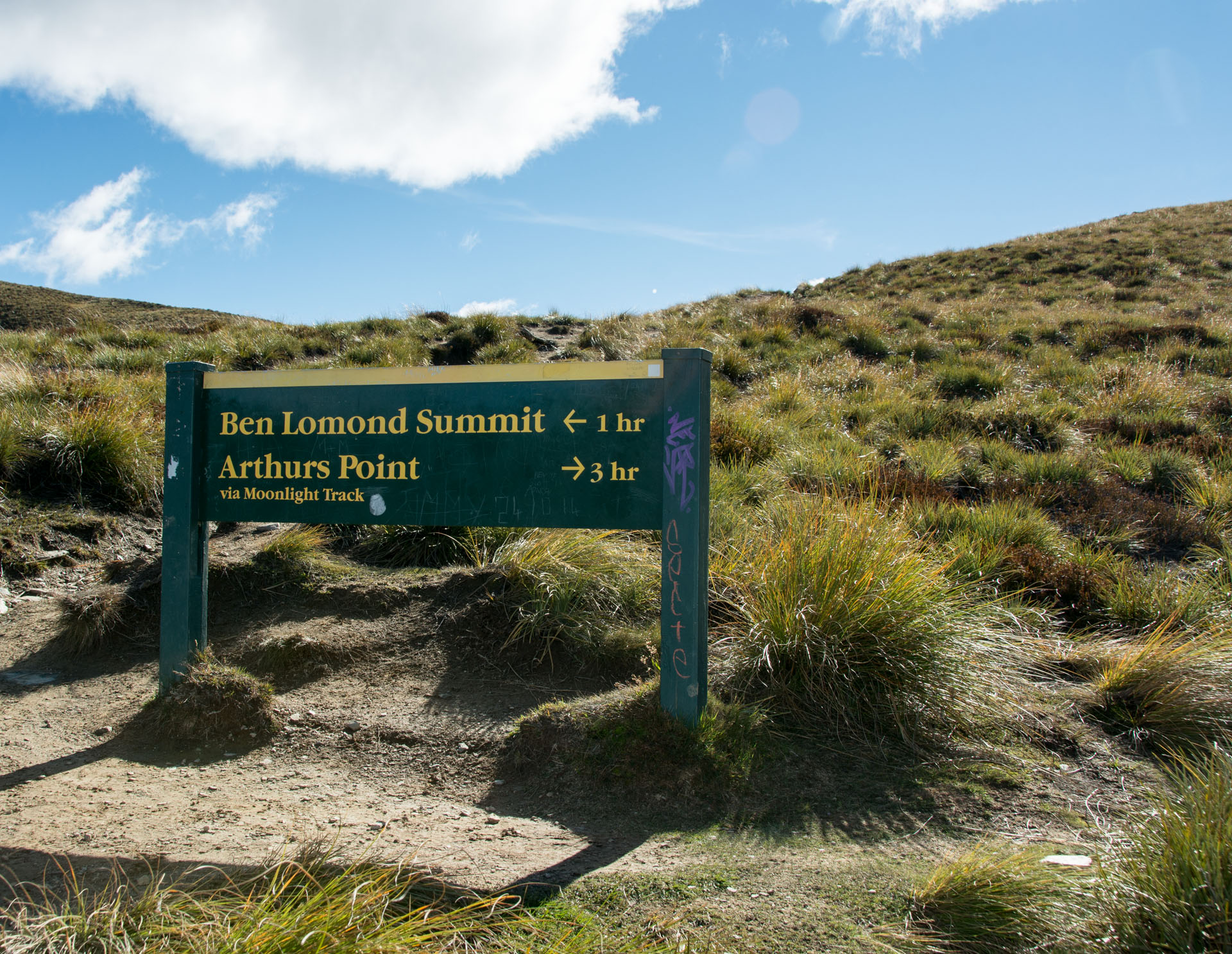 2016 04 14 Ben Lomond Saddle Hike-157