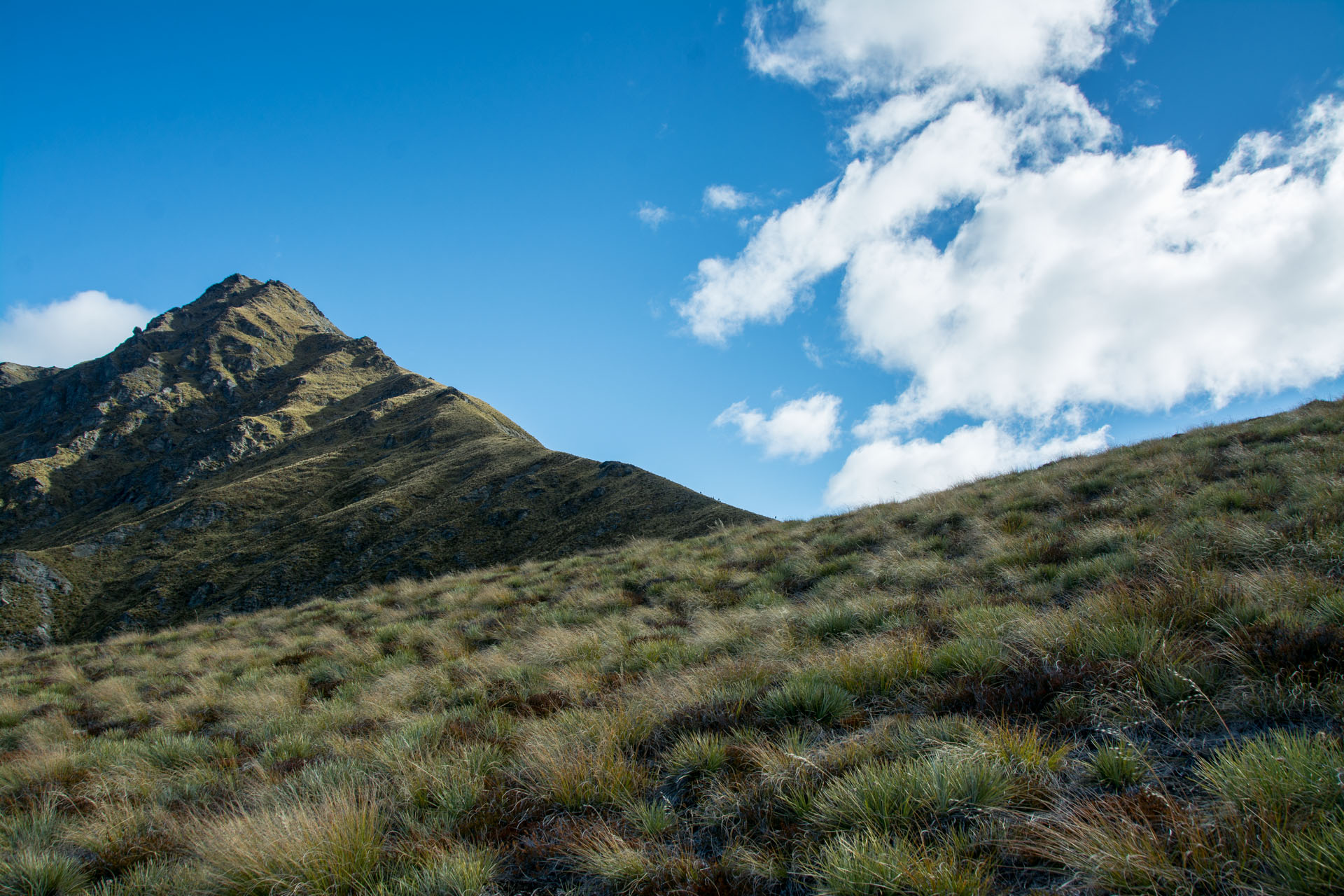 2016 04 14 Ben Lomond Saddle Hike-182