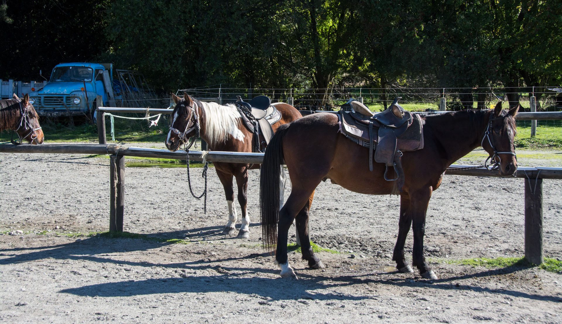 2016 04 15 High Country Horse Stables-107
