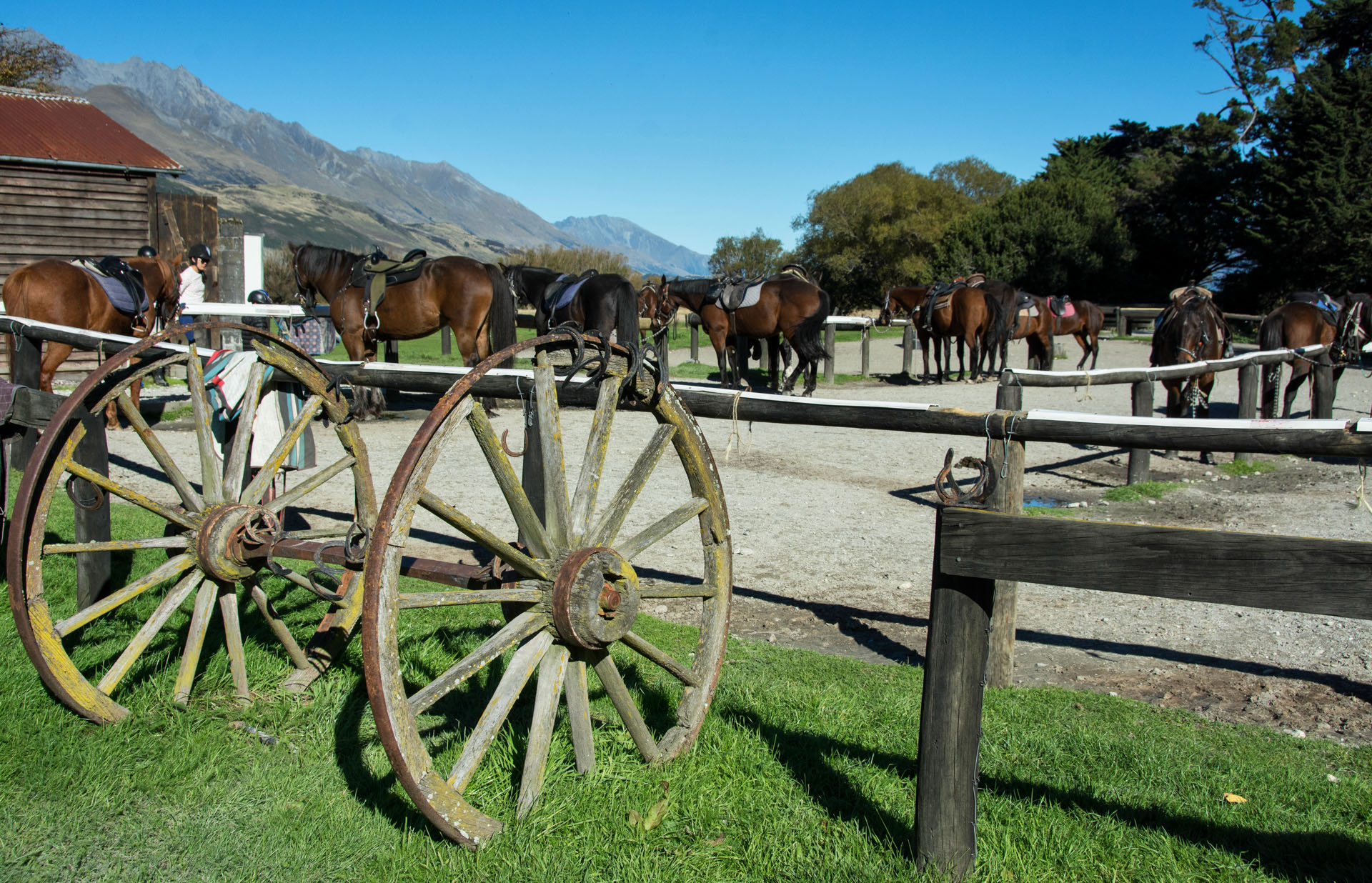 2016 04 15 High Country Horse Stables-121