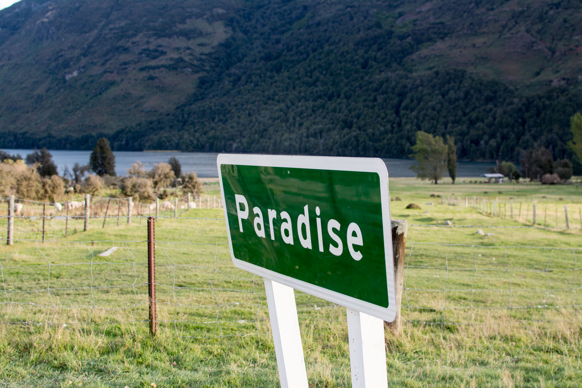 2016 04 16 Paradise Valley-133