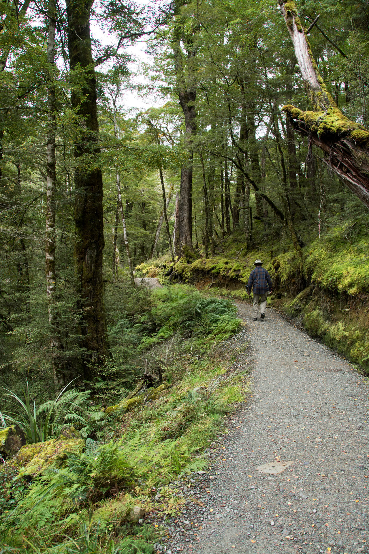 2016 04 16 Routeburn Track-110