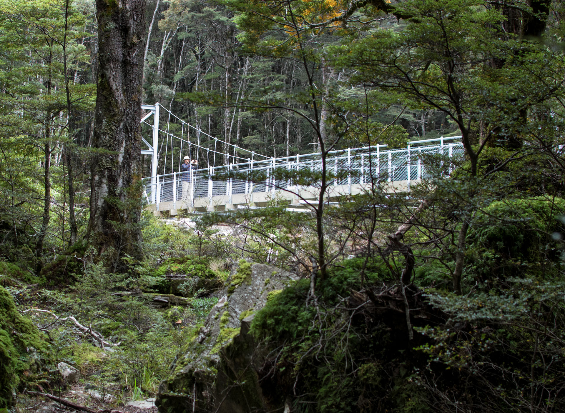 2016 04 16 Routeburn Track-174