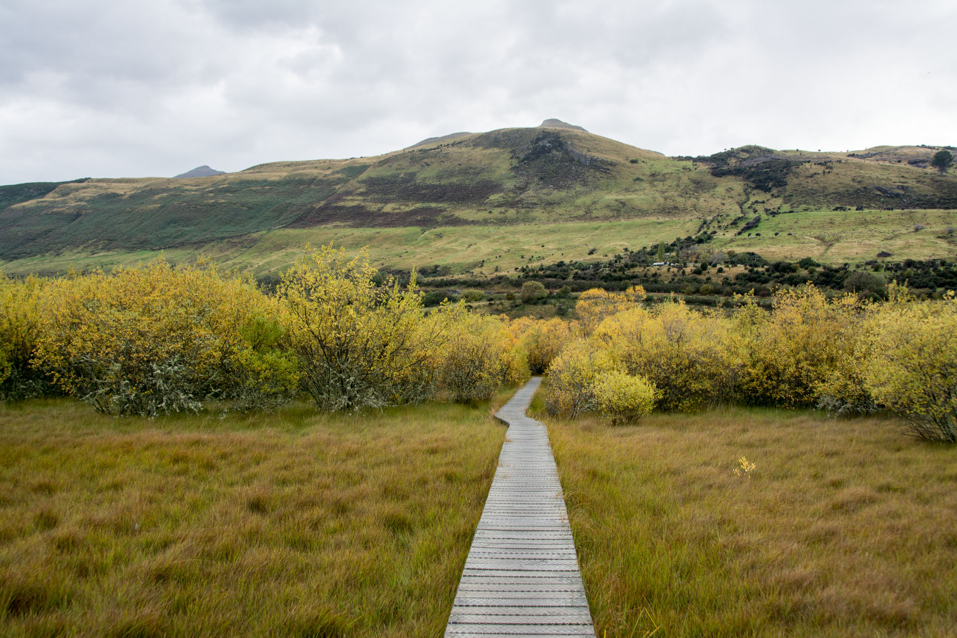 2016 04 17 Glenorchy Lagoon-108