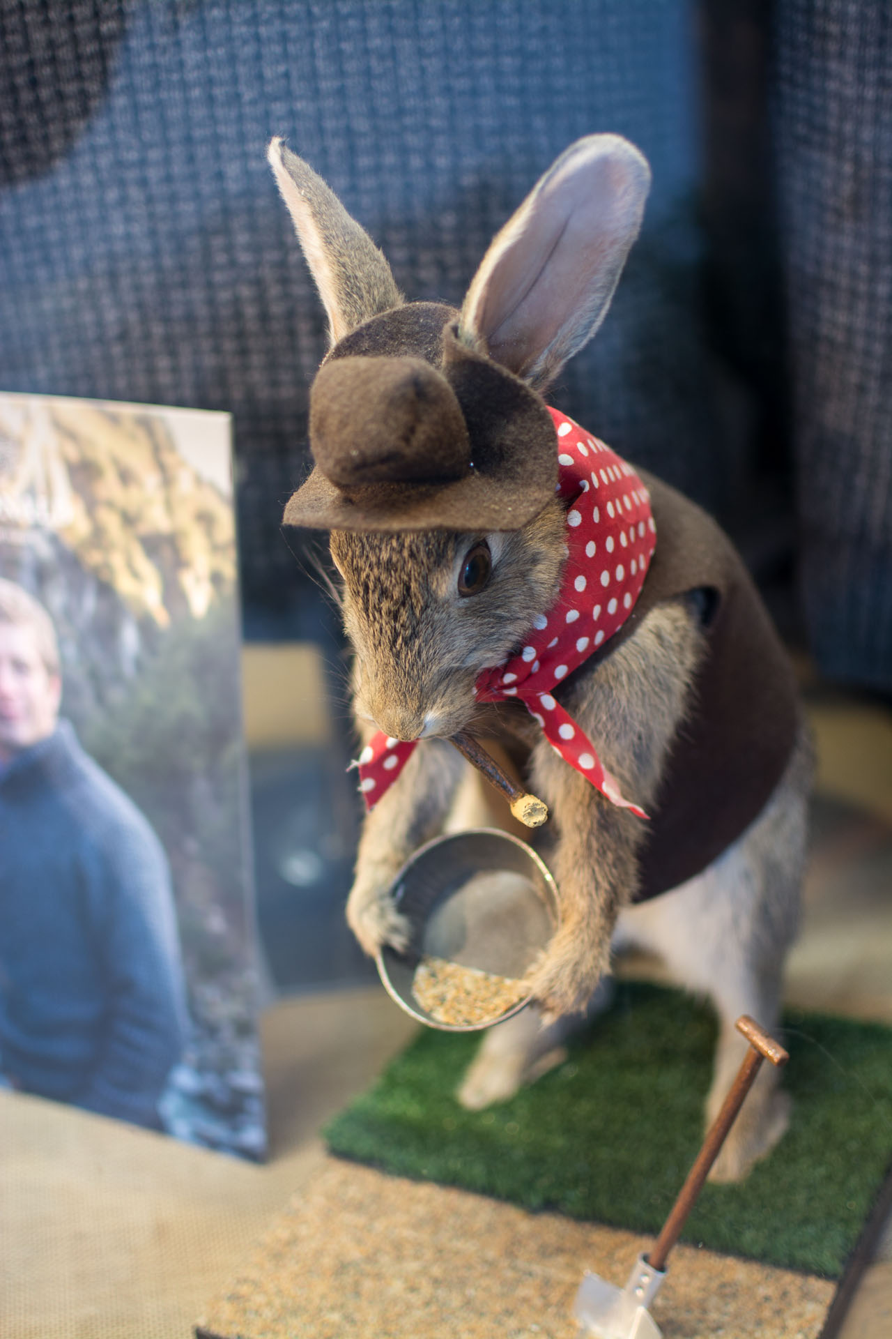 2016 04 18 Arrowtown (202)