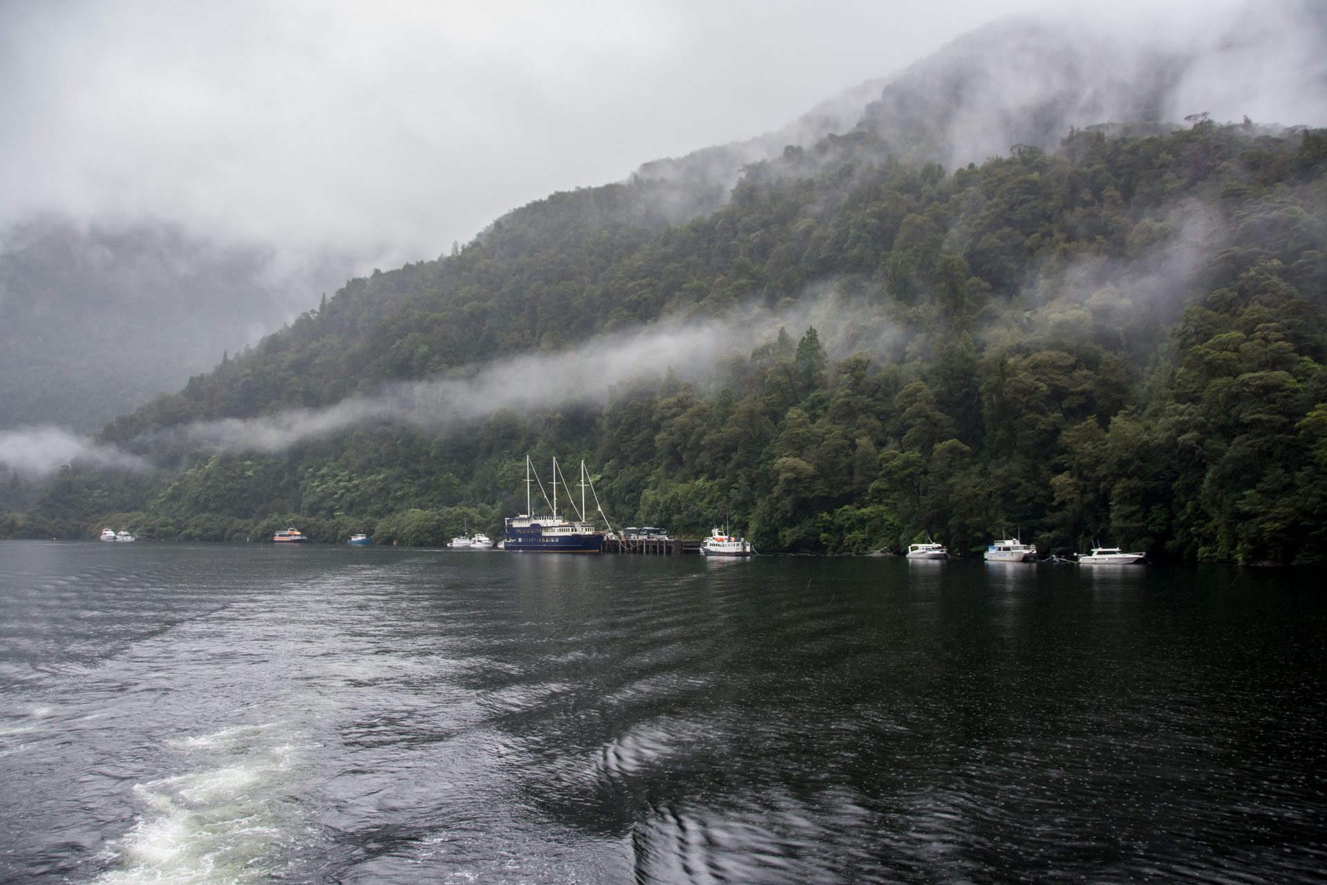 2016 04 20 Doubtful Sound Cruise (102)