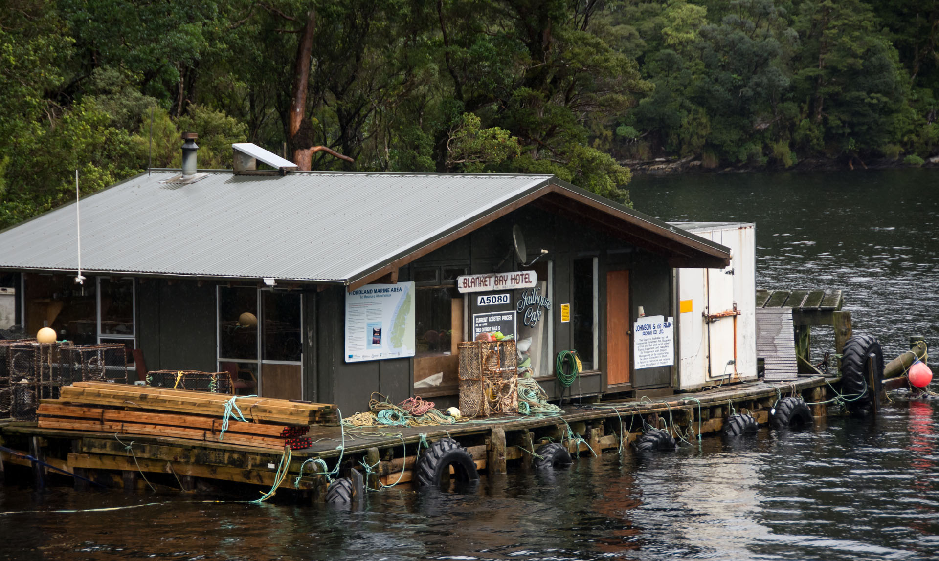2016 04 20 Doubtful Sound Cruise (153)