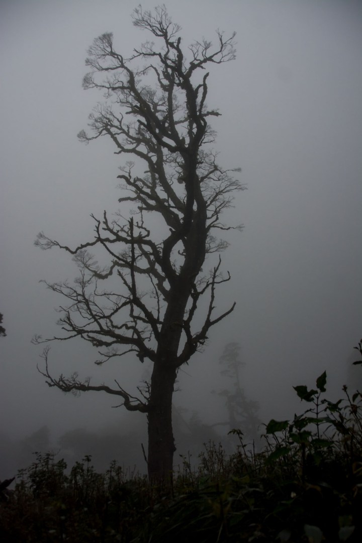 2016 04 22 Lake Marian Hike (129)