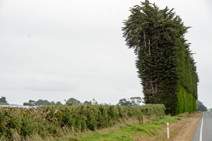 2016 04 23 Drive to Catlins (103)