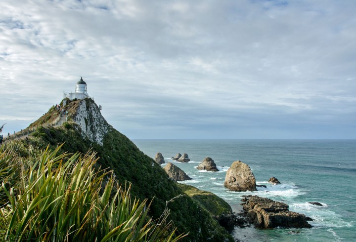 2016 04 24 Nugget Point (120)