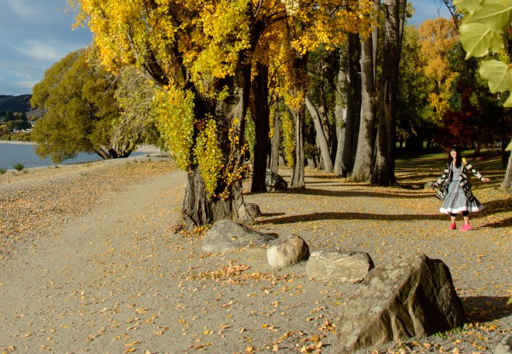 2016 04 27 Wanaka Lake Front (107)