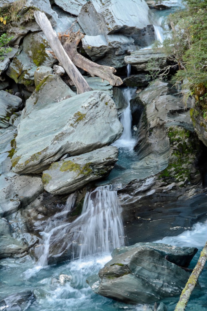 2016 04 28 Rob Roy Glacier Track (157)