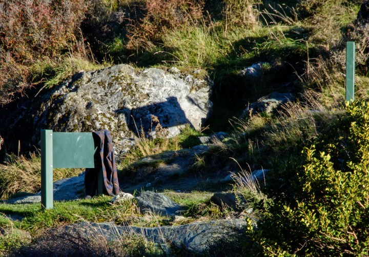 2016 04 28 Rob Roy Glacier Track (180)