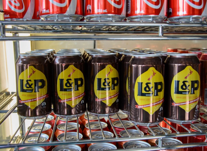 2016 04 28 Wanaka Lake Area (108)