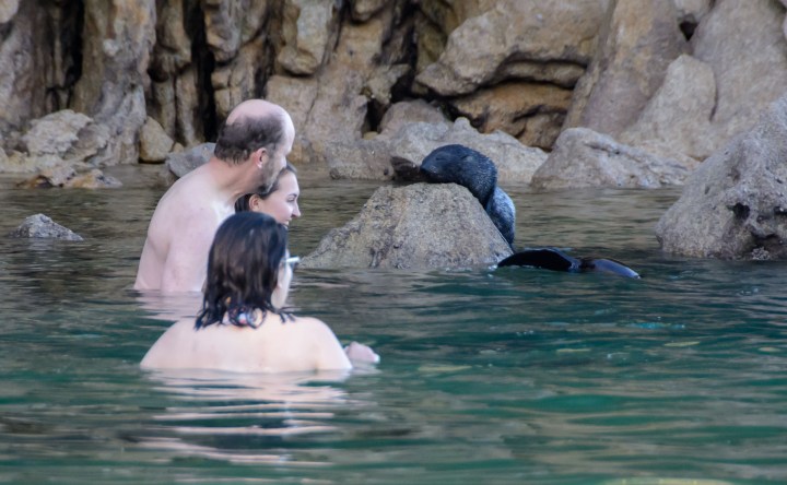 2016 05 02 Abel Tasman Seal Pup Swim (489)