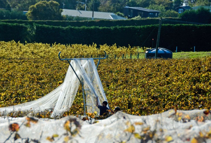 2016 05 03 Kina Beach Cottage (102)