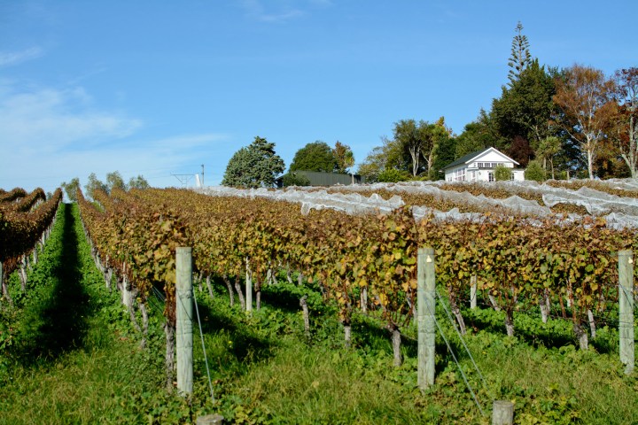 2016 05 03 Kina Beach Cottage (122)