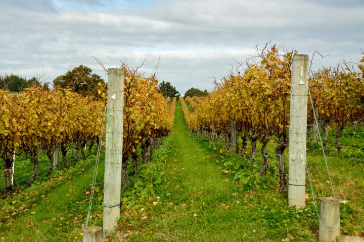 2016 05 03 Kina Beach Cottage (135)