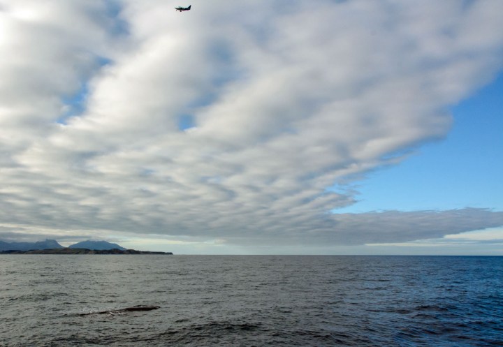 2016 05 05 Kaikoura Whales-205