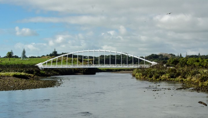 2016 05 07 Te Rewa Rewa Bridge (099)