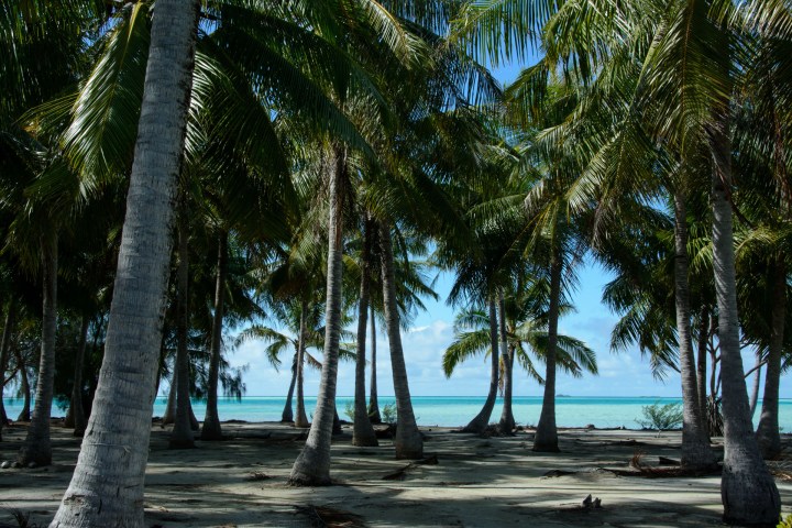 2016 05 15 FP Cruise - Fakarava Blue Lagoon (215)