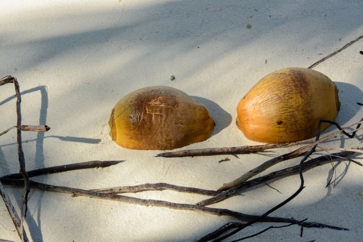 2016 05 15 FP Cruise - Fakarava Blue Lagoon (223)