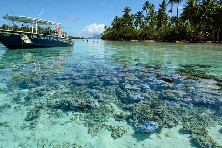 2016 05 18 FP Cruise - Tahaa Drift Snorkle Tour (136)