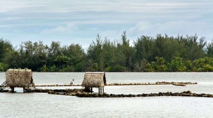 2016 05 19 FP Cruise - Huahine Island Tour (162)