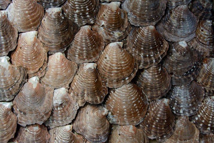 2016 05 19 FP Cruise - Huahine Island Tour (176)