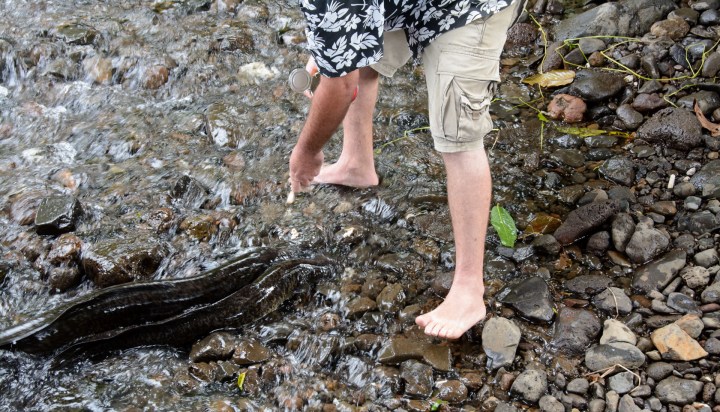 2016 05 19 FP Cruise - Huahine Island Tour (203)