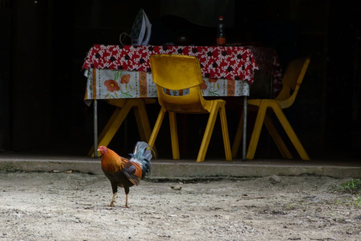 2016 05 19 FP Cruise - Huahine Island Tour (217)