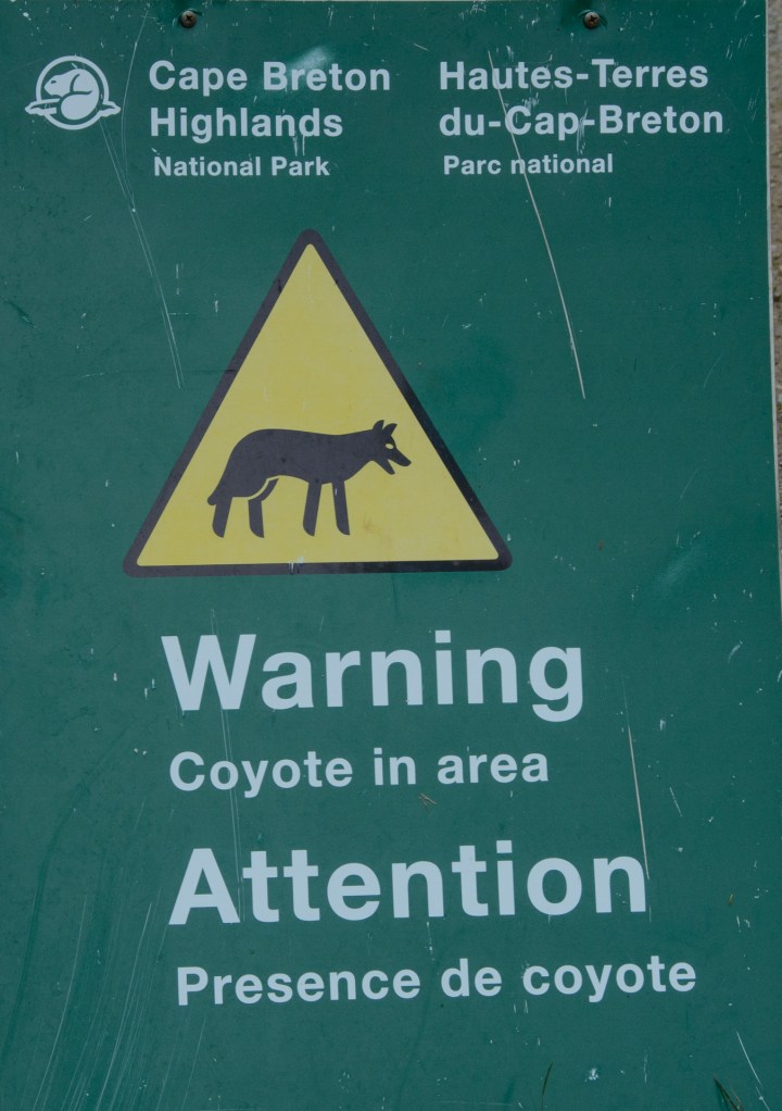coyote-sign