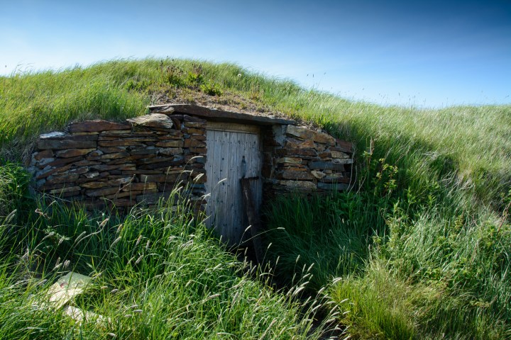 puffins-and-root-cellars-2-of-32