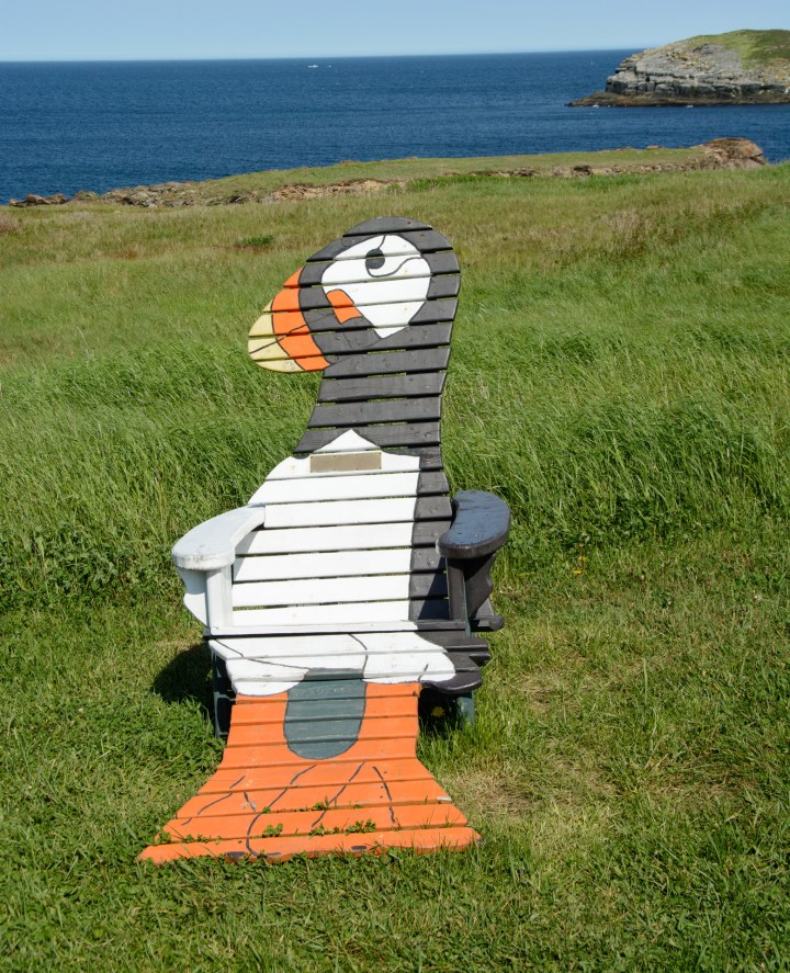 puffins-and-root-cellars-4-of-32